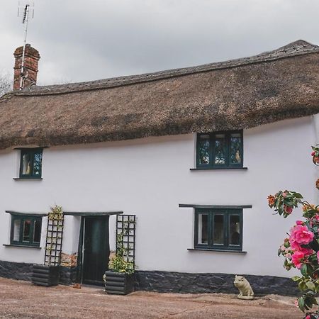 'The Cottage' Okehampton Bagian luar foto