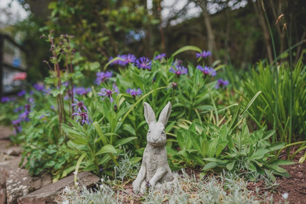 'The Cottage' Okehampton Bagian luar foto