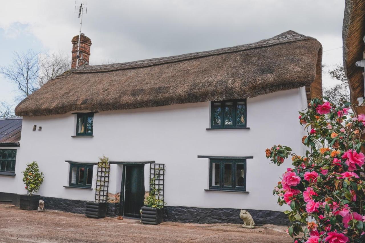 'The Cottage' Okehampton Bagian luar foto
