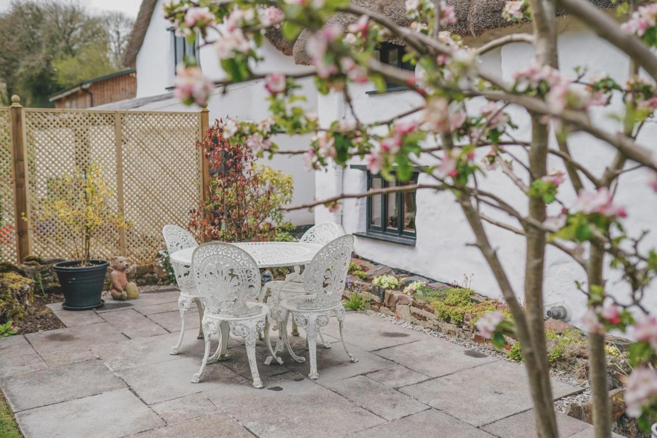 'The Cottage' Okehampton Bagian luar foto
