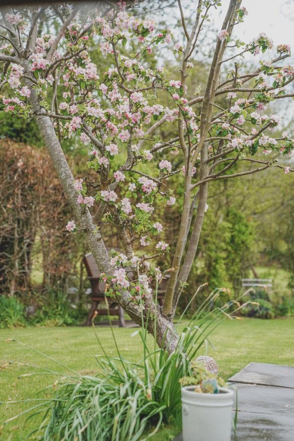 'The Cottage' Okehampton Bagian luar foto