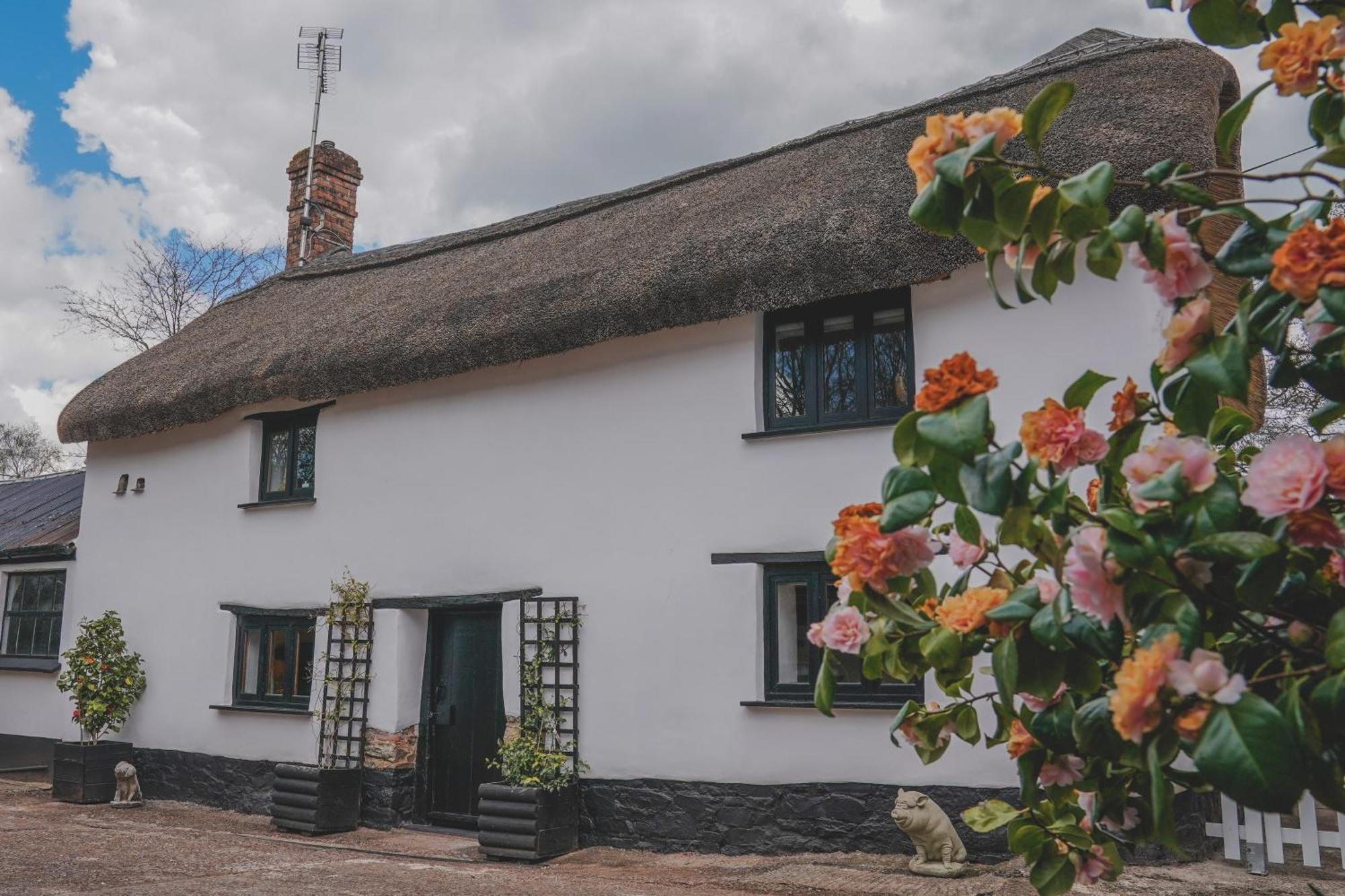 'The Cottage' Okehampton Bagian luar foto